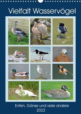Vielfalt Wasservögel 2022 Wandkalender