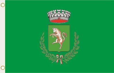 Fahne Flagge Albignasego (Italien) Hissflagge 90 x 150 cm