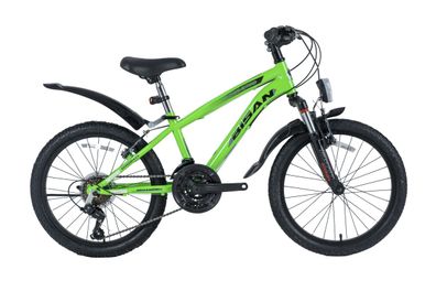 20 ZOLL Kinderfahrrad Kinder Mädchen Jungen MTB Mountainbike Fahrrad Bike Rad Grün