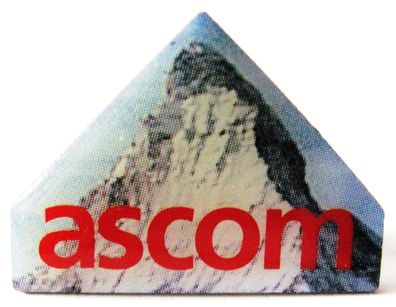 Ascom - Pin 26 x 20 mm