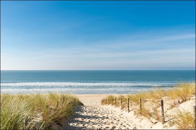 Muralo Selbstklebende Fototapeten XXL Strand Meer Dünen 511