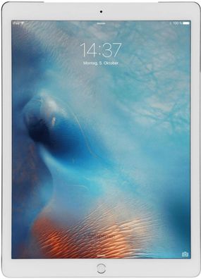 Apple iPad Pro 12.9 (2015) 256GB WiFi & Cellular Silver - Sehr Guter Zustand