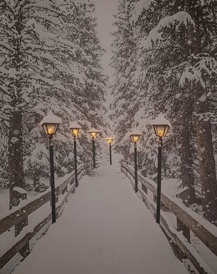 LED Wandbild - Leinwand beleuchtet 50x40 cm - Bild Winterlandschaft