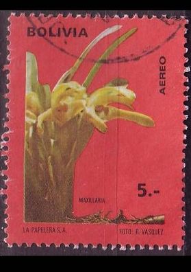 Bolivien Bolivia [1974] MiNr 0864 ( O/ used ) Pflanzen