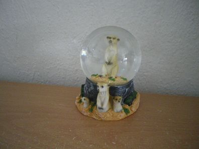 Mittelgroße Schneekugel "Erdmännchen" (Kunstharz/ Glas) / Medium Snow Globe "Meerkat"