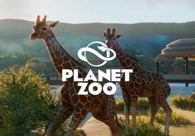 Planet Zoo (PC. 2019, Nur der Steam Key Download Code) Keine DVD, Steam Only