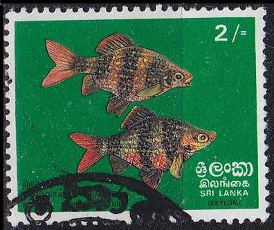CEYLON SRI LANKA [1972] MiNr 0431 ( O/ used ) Fische