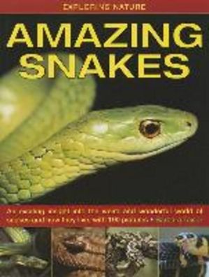 Exploring Nature: Amazing Snakes: an Exciting Insight into the Weird and Wo ...