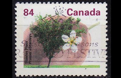 KANADA CANADA [1991] MiNr 1272 A ( O/ used ) Pflanzen