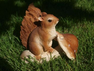 Eichhörnchen Deko Figur mit Pilz 16cmx17cm lebensgroß Garten Figur NEU