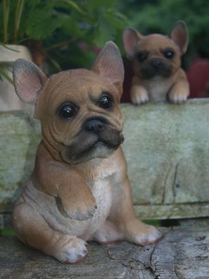 französische Bulldogge Deko Figur wetterfest Puppy sitz o. häng Gartenfigur NEU