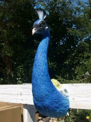 Pfau Kopf Vogel Deko Figur 65cm Wanddeko lebensecht Afrika Garten Deko NEU