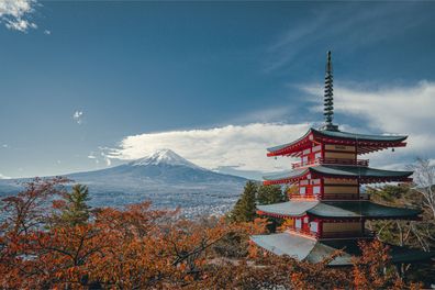 Muralo VLIES Fototapete Tapeten XXL Schlafzimmer Japan Tempel 2759