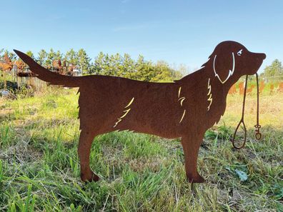 Golden Retriever Hund mit Leine stehend 88x52cm Gartenstecker Edelrost Rost Metall