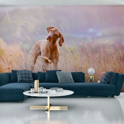 Muralo Selbstklebende Fototapeten XXL Schlafzimmer Tiere Hund Wiese 3301