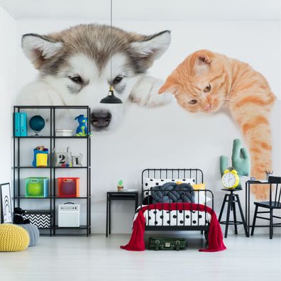Muralo Selbstklebende Fototapeten XXL Für Jugend Hund Katze Malamut 3361