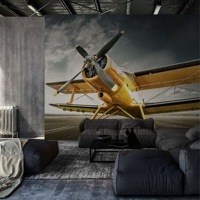 Muralo Selbstklebende Fototapeten XXL Flugzeug Landschaft Himmel 3980