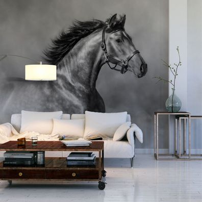 Muralo Selbstklebende Fototapeten XXL Pferd Rauch Dekor 3D 3080