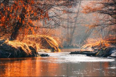 Muralo VLIES Fototapete Tapeten XXL Der Fluss im Herbst 1153