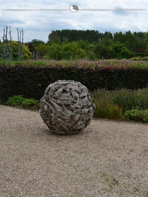 Blutbuche Fagus sylvatica Atropunicea 125-150 cm Wurzelnackt, 50x Heckenpflanze