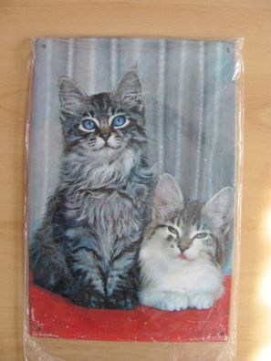 2 Katzen - Blechschild - 20 x 30 cm