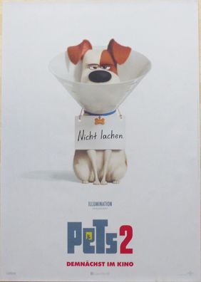 Pets - Original Kinoplakat A1 - Motiv: Max - Nicht lachen - Filmposter