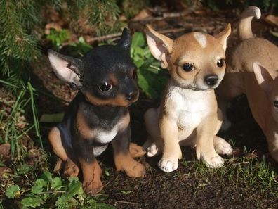 Chihuahua Deko Figur Welpe Pup Hundefigur Puppy Garten lebensgroß NEU