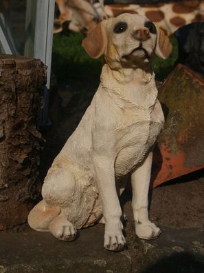Labrador Labby 31cm Hundefigur Deko Figur Gartenfigur wetterfest NEU (Gr. Mittel)
