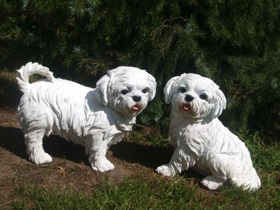 Malteser Deko Figur lebensgroß weißer Hund Boomer Deko Garten Neuheit