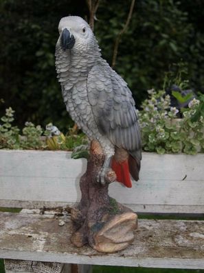 Papagei Graupapagei Kongo Deko Figur 38cm lebensgroß 38cm Gartenfigur HOTANT