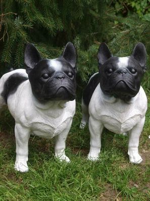 französische Bulldogge Deko Figur lebensgroß Gartenfigur schwarz/ weiß NEU