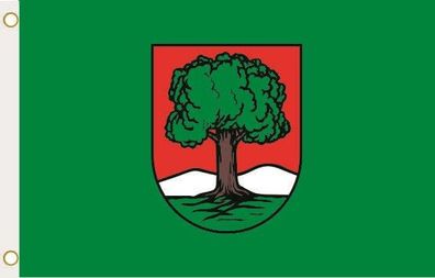 Fahne Flagge Walbrzych Waldenburg (Polen) Hissflagge 90 x 150 cm