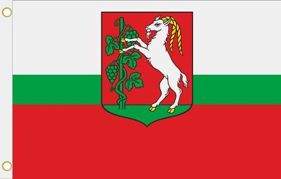Fahne Flagge Lublin (Polen) Hissflagge 90 x 150 cm