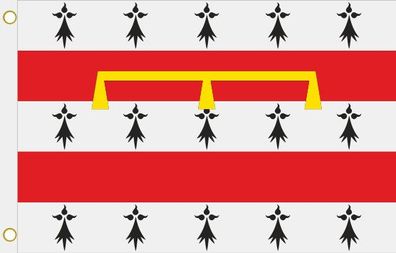 Fahne Flagge Nandrin (Belgien) Hissflagge 90 x 150 cm