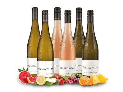 Kennenlernpaket Weingut Dreissigacker trocken