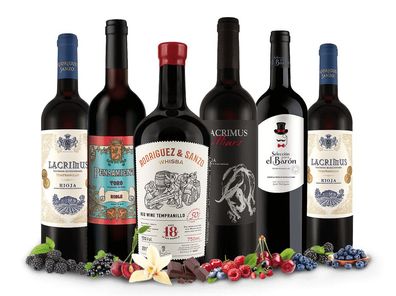 Probierpaket Rotwein-Genuss von Javier Rodriguez trocken