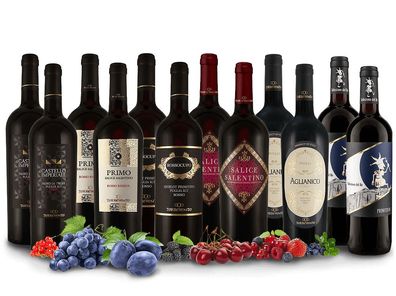 Probierpaket XL Die besten Rotweine von Torrevento trocken