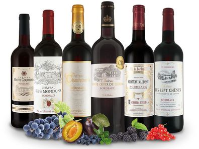 Die Welt der Bordeaux-Weine trocken
