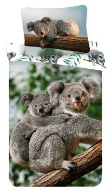 Kinder Erwachsenen Bettwäsche Koala Paar Wildnis Eukalyptusbaum 140x200 Bettbezu