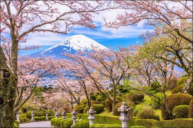 Muralo VLIES Fototapete Tapeten XXL Peace Park Japan Aussicht auf Fuji-Berg 905
