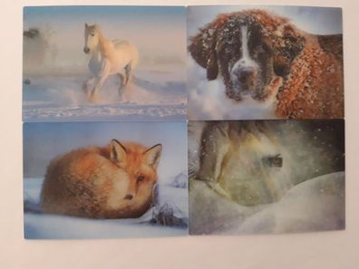 3 D Ansichtskarte Tiere Winter Postkarte Wackelkarte Hologrammkarte Tier Pferd Fuchs