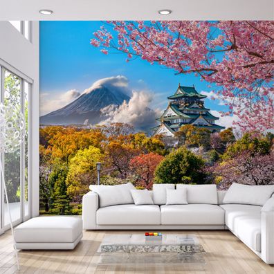 Muralo Selbstklebende Fototapeten XXL Jugend Japan Schloss Osaka 2963