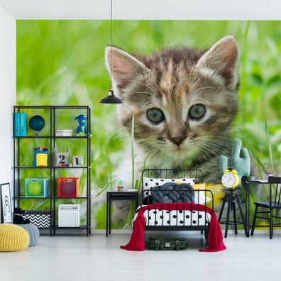 Muralo Selbstklebende Fototapeten XXL Reizvolles Kätzchen Natur 3429