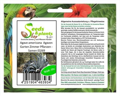 10x Agave americana Agaven Garten Zimmer Pflanzen - Samen ID269