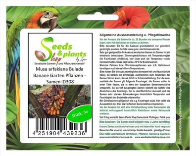 5x Musa arfakiana Bulada Banane Garten Pflanzen - Samen ID308