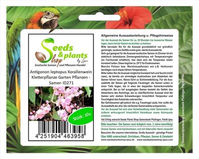 10x Antigonon leptopus Korallenwein Kletterpflanze Garten Pflanzen - Samen ID271