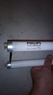 Starter + Philips TL-D U 36w/33-640 Made in Germany C9 CE U-Form Lampe NeonLeuchte