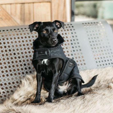 Kentucky Dogwear Hundedecke Dog Coat 160g - schwarz - künstliches Kaninchenfell