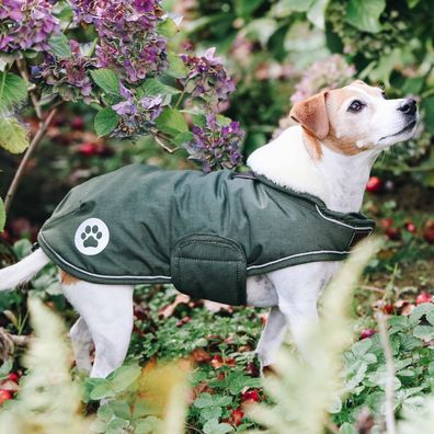 Kentucky Dogwear Hundedecke Dog coat Waterproof 160g - Olive Green