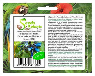 5x Palicourea amethystina Strauch Garten Pflanzen - Samen ID324